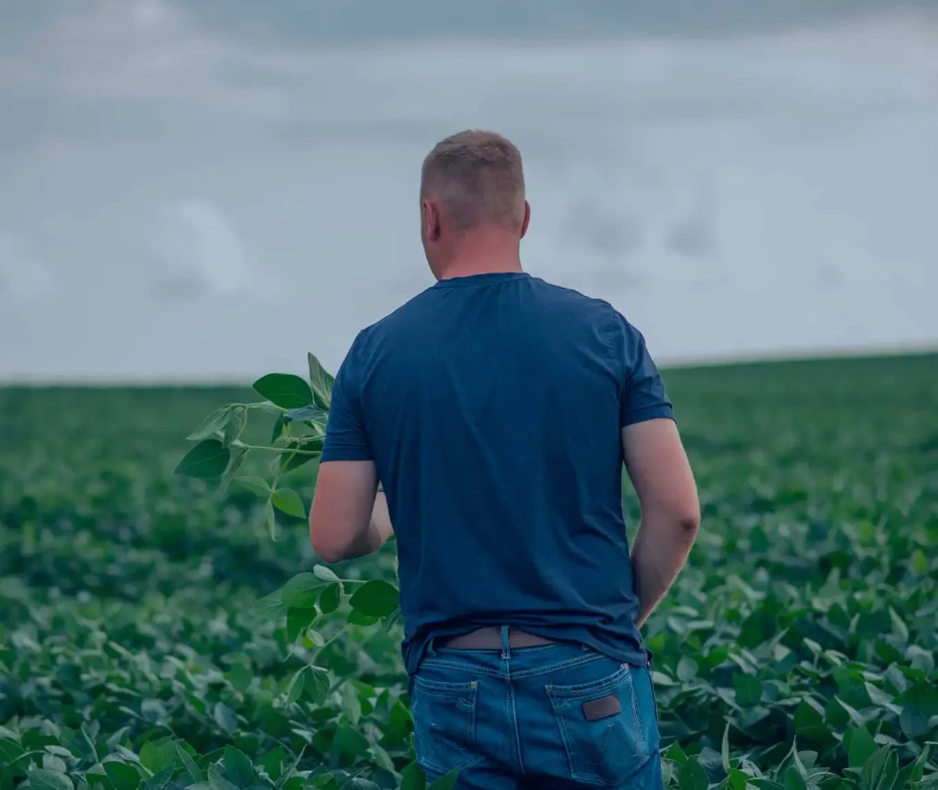 Farmer in field