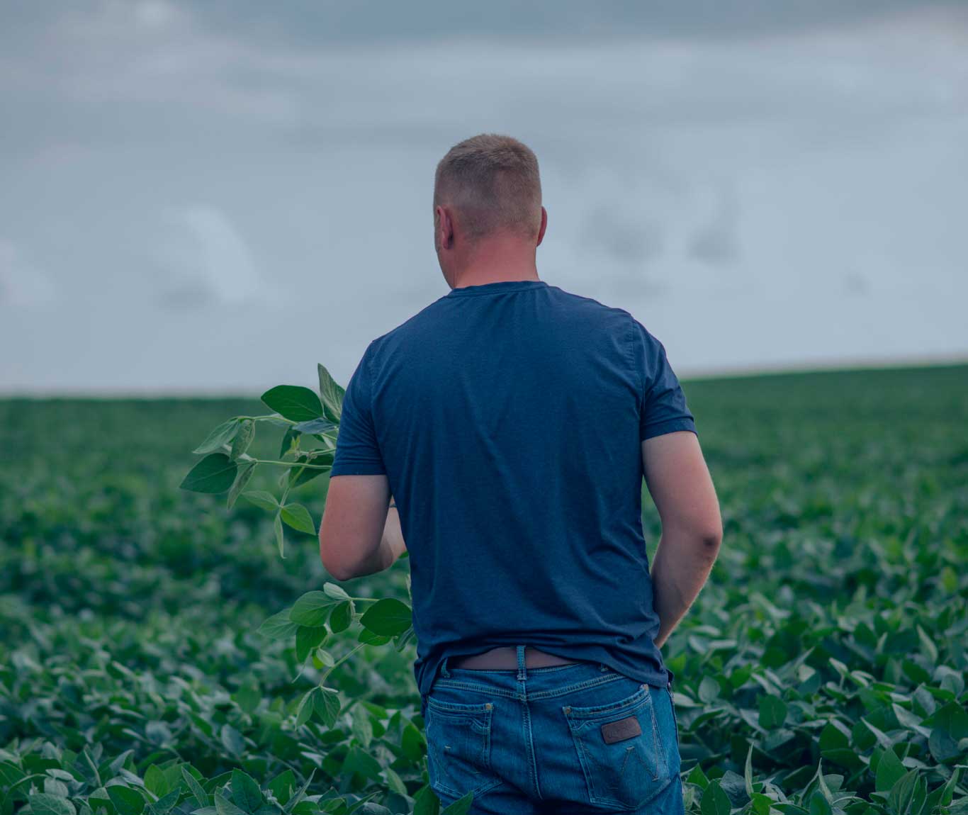 Farmer in field