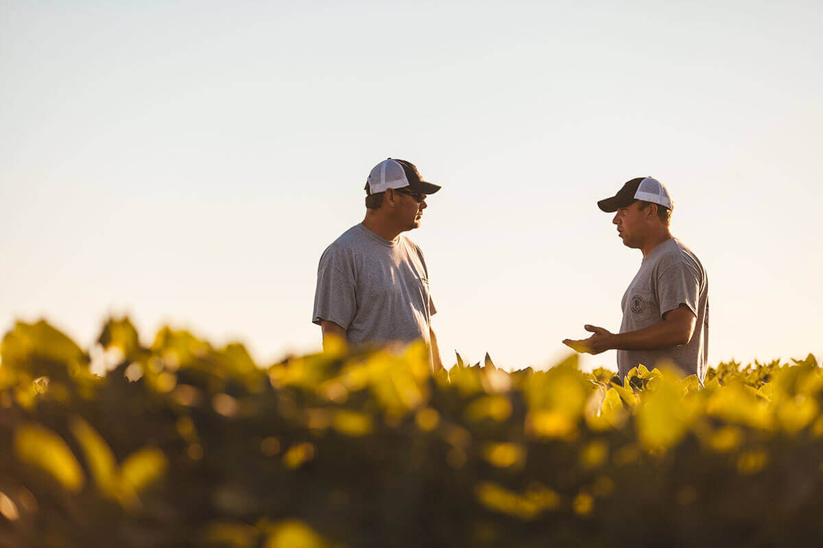 An Armor Seed agronomist discussing harvest with a farmer