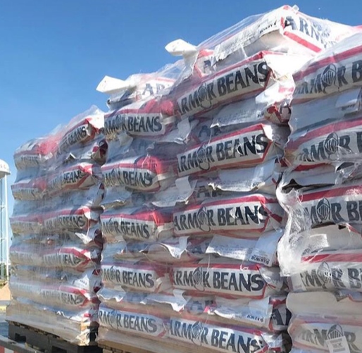 Armor Seed Bean Bag on a pallet.