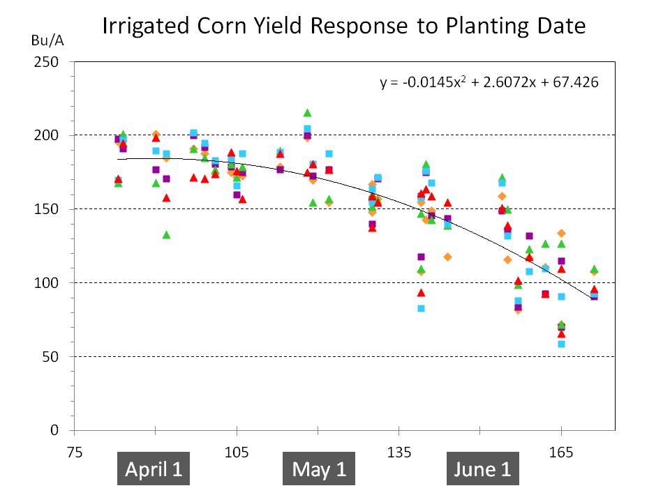 Irrigated Corn Yield Response to Planting Date